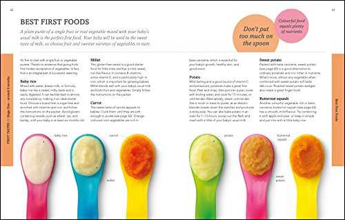 Weaning: New Edition - What to Feed, When to Feed and How to Feed your Baby