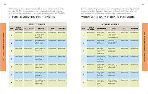 Weaning: New Edition - What to Feed, When to Feed and How to Feed your Baby