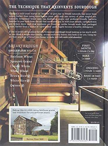 Wild Bread: Sourdough Reinvented: Flour + Water + Air