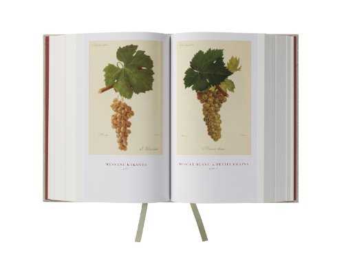 Wine Grapes: A complete guide to 1,368 vine varieties, including their origins and flavours
